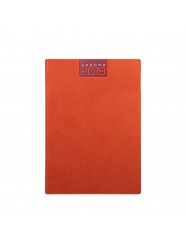 AGENDA GIORNALIERA - 324 PAGINE SAB. E DOM. ABBINATI