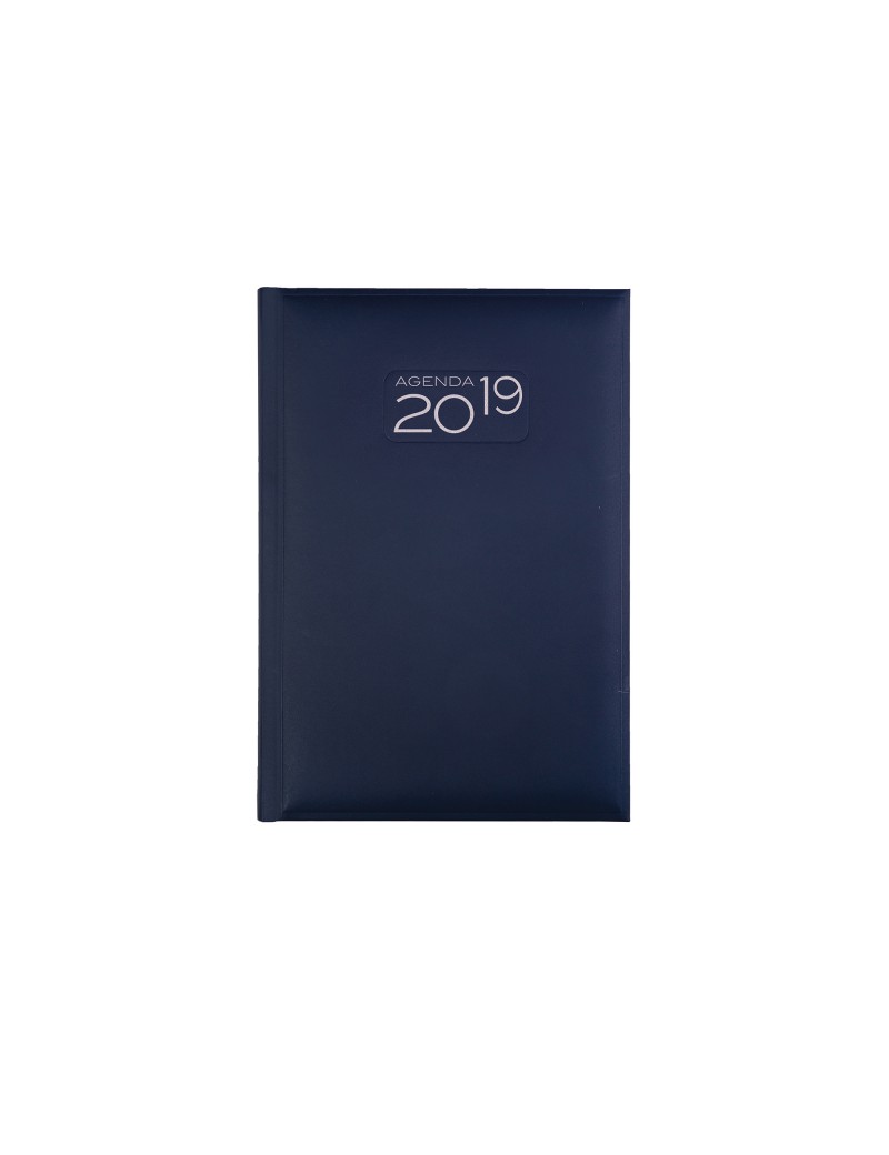 AGENDA TASCABILE BIGIORNALIERA - 240 PAGINE