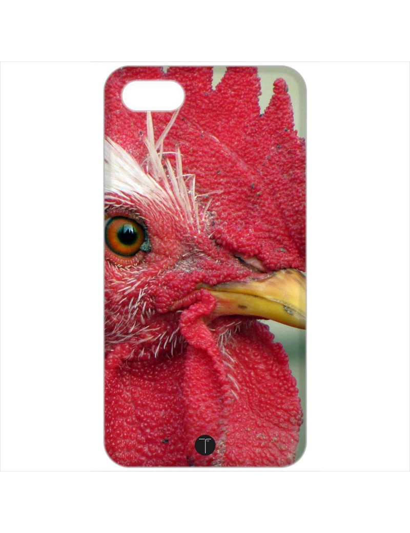 378 - Gallo