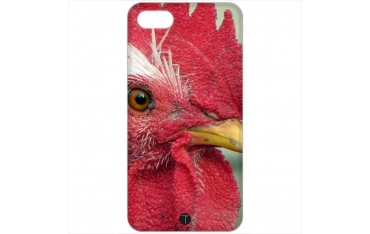 378 - Gallo