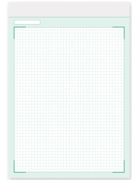 BLOCCO A4 QUADRETTINI - 50 FOGLI FORMATO A4
