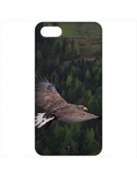 383 - Aquila