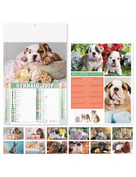 CANI E GATTI - MENSILE 12 FOGLI