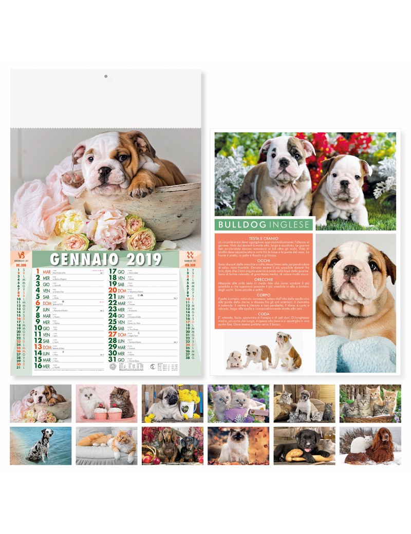 CANI E GATTI - MENSILE 12 FOGLI