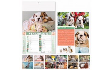 CANI E GATTI - MENSILE 12 FOGLI