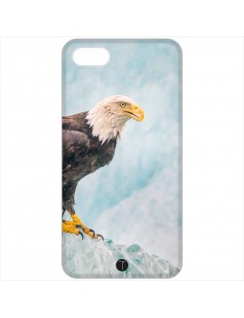 384 - Aquila