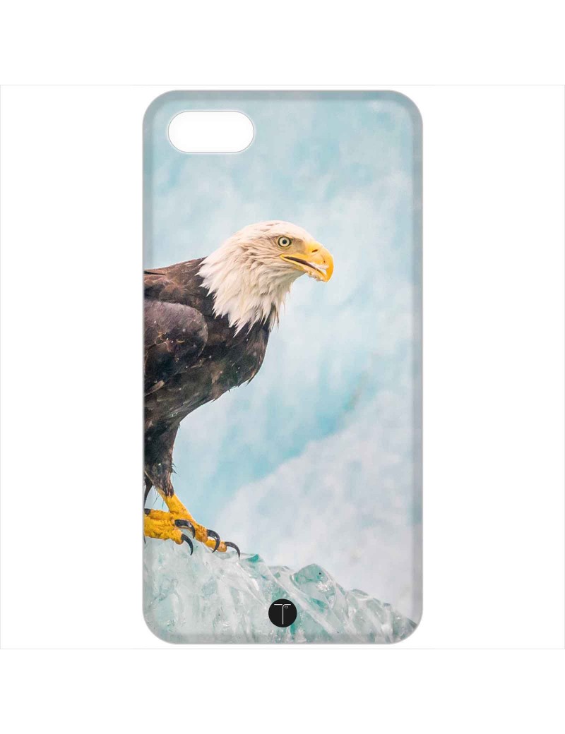 384 - Aquila