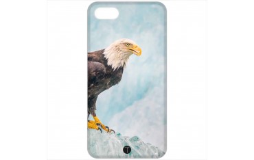 384 - Aquila