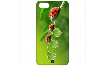 392 - Coccinelle