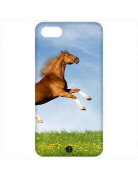 394 - Cavallo