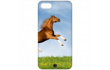 394 - Cavallo