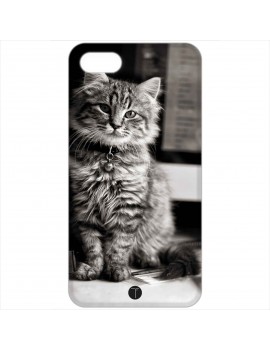 397 - Gatto
