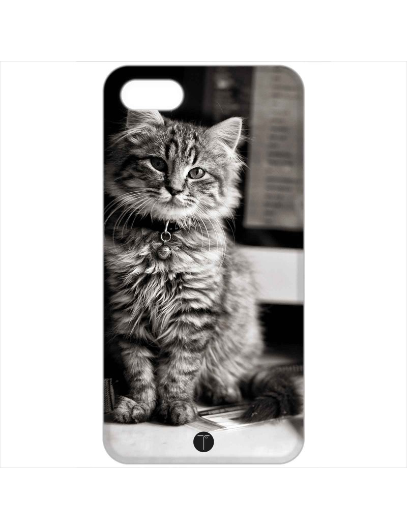 397 - Gatto