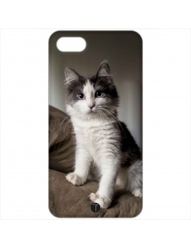 398 - Gatto