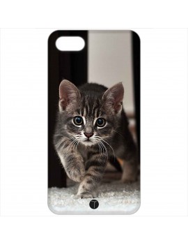 399 - Gatto