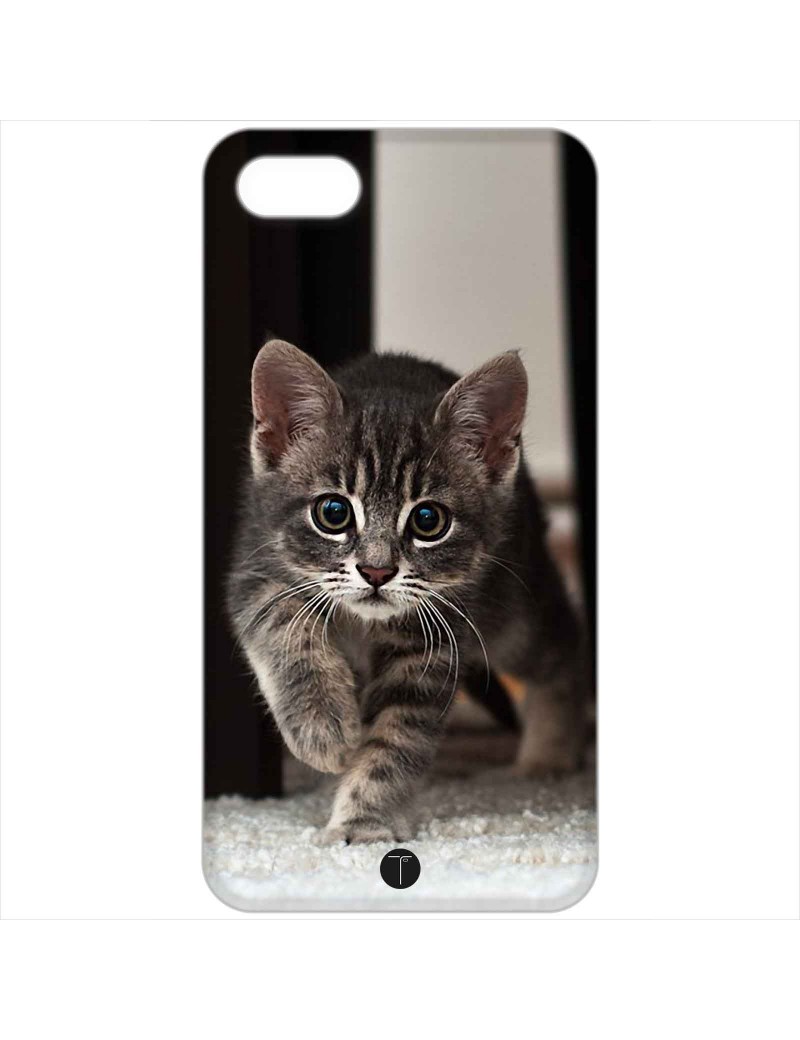 399 - Gatto