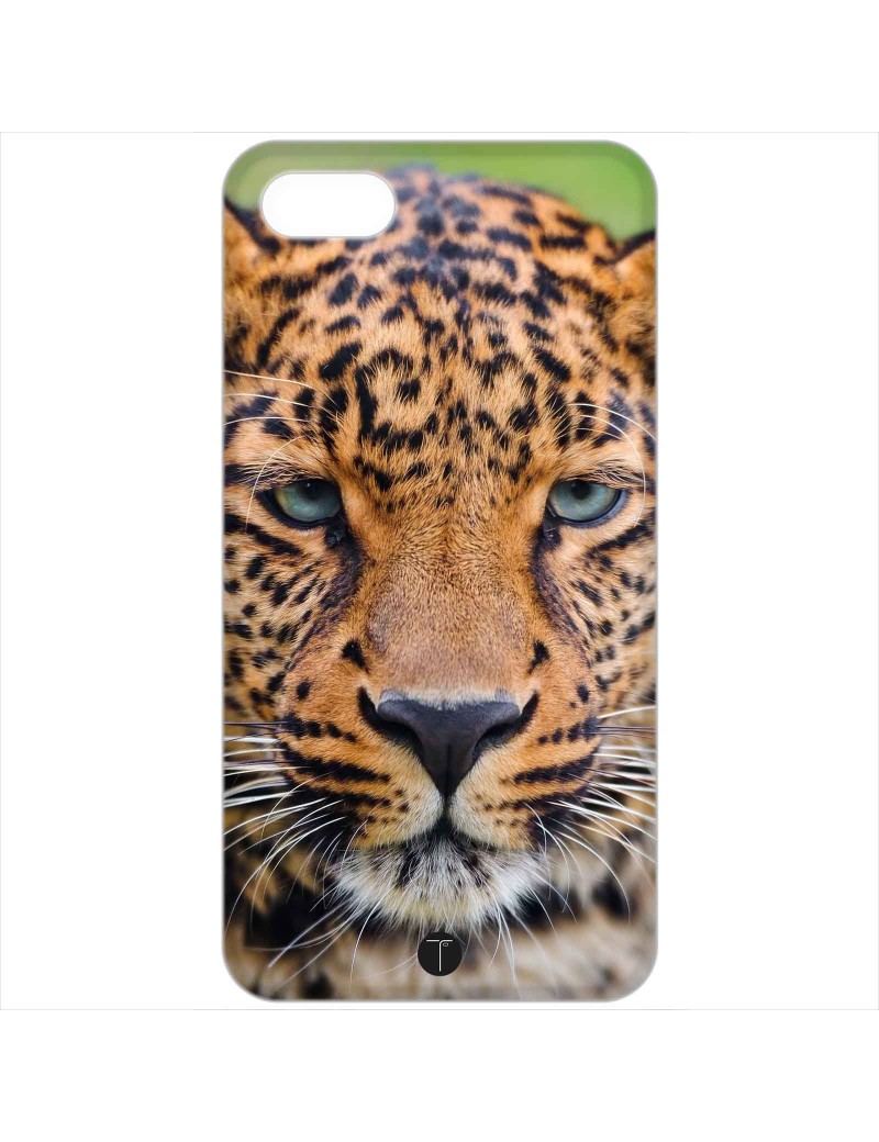 402 - Leopardo