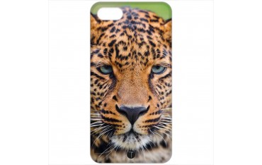 402 - Leopardo