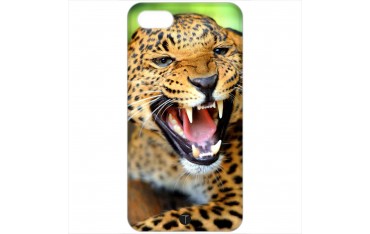 403 - Leopardo