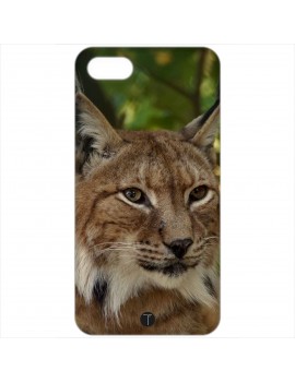 407 - Lince