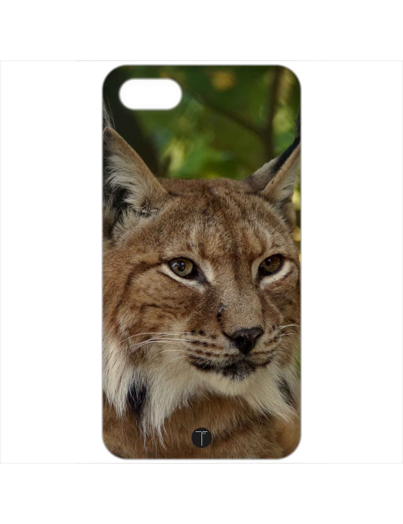 407 - Lince