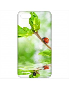 408 - Coccinella