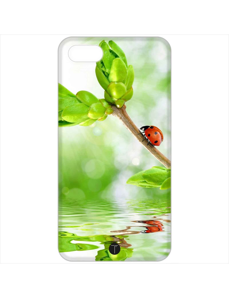 408 - Coccinella