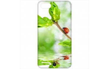 408 - Coccinella