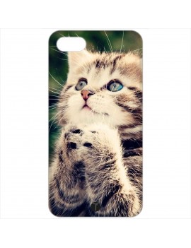 412 - Gatto