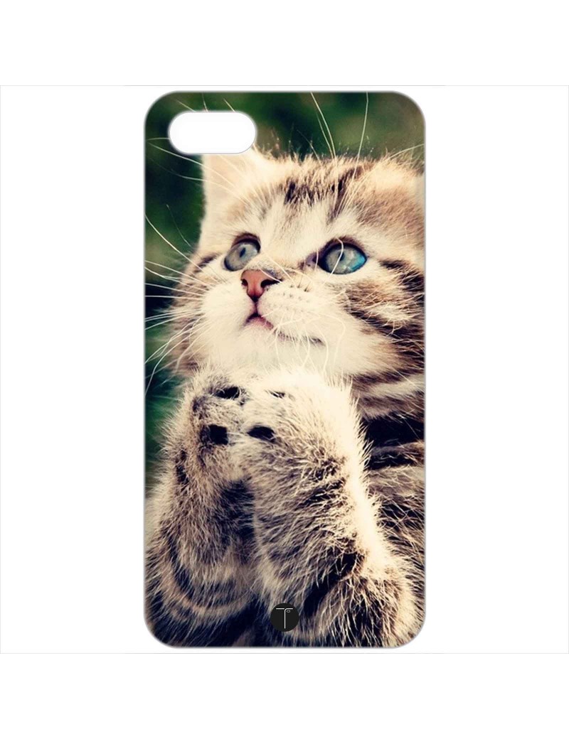 412 - Gatto