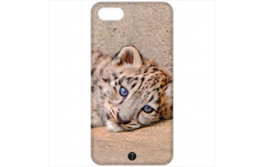 421 - Leopardo