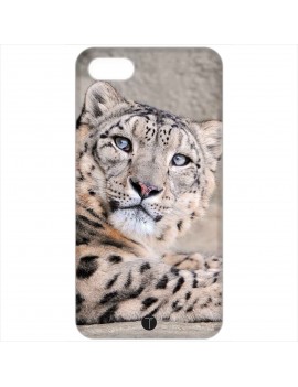 422 - Leopardo