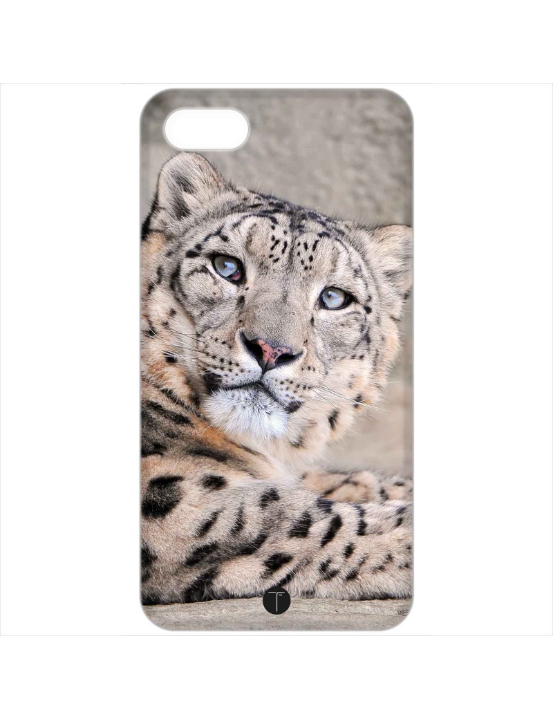 422 - Leopardo