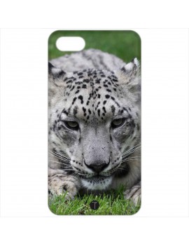 423 - Leopardo