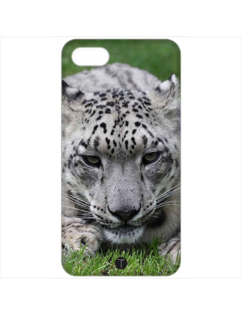 423 - Leopardo