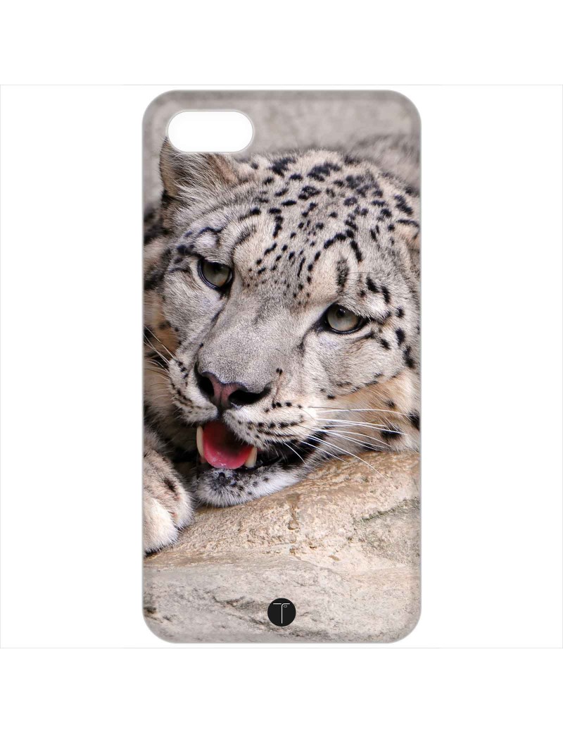 424 - Leopardo