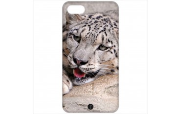 424 - Leopardo