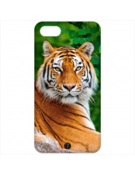 429 - Tigre