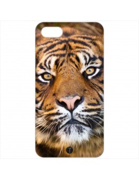 430 - Tigre