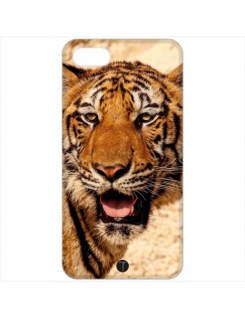 431 - Tigre