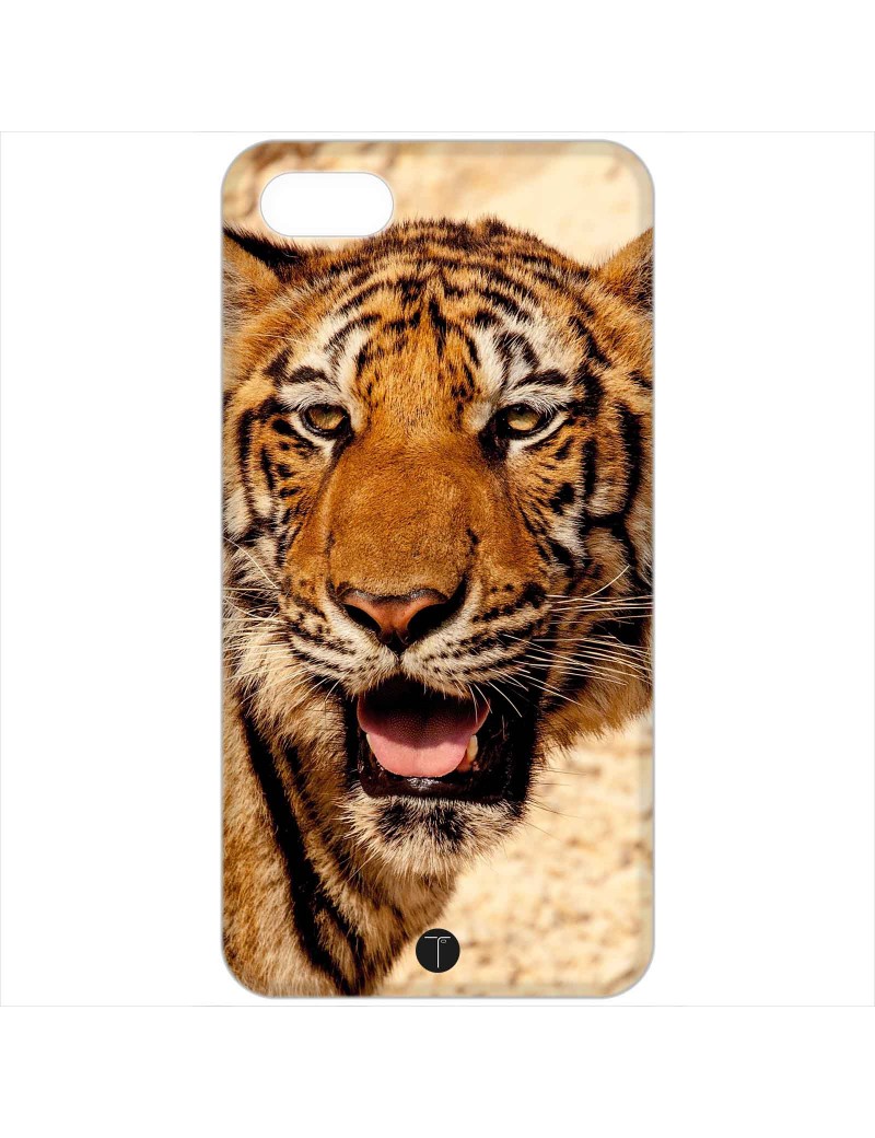 431 - Tigre