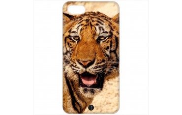 431 - Tigre
