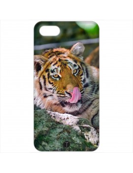 432 - Tigre