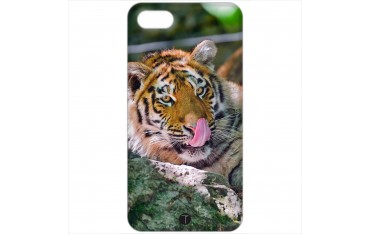 432 - Tigre