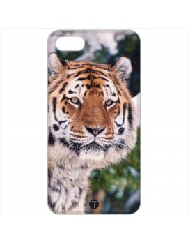 433 - Tigre