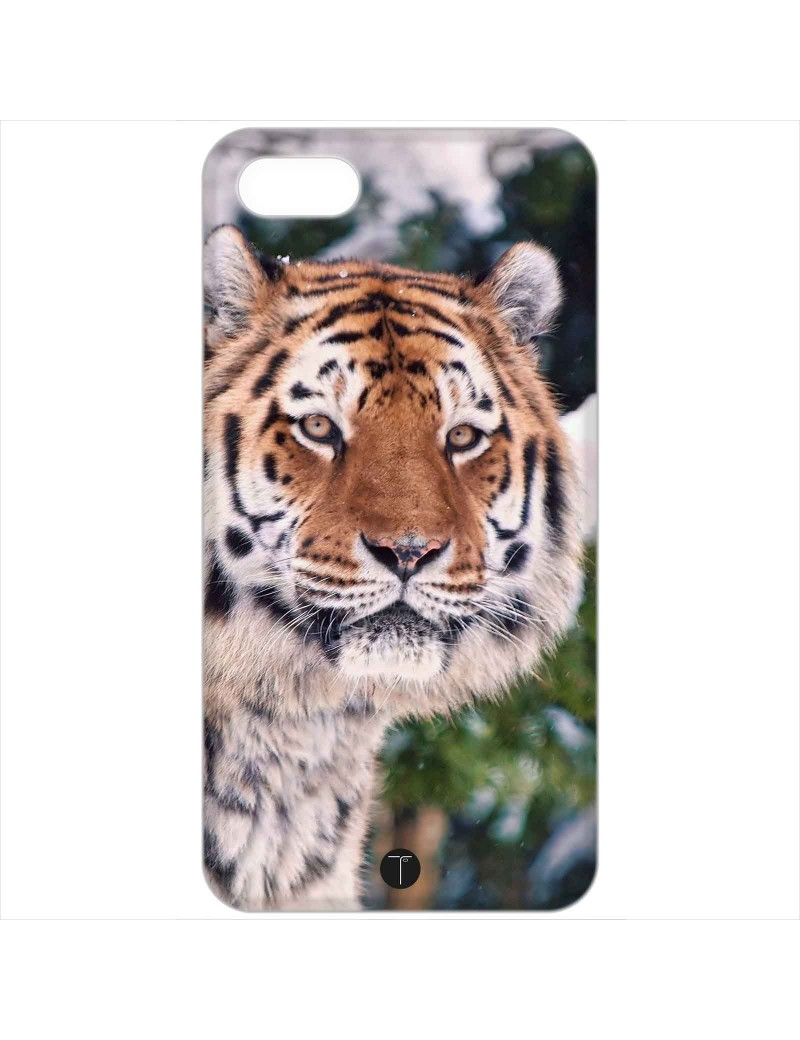 433 - Tigre