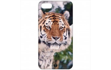 433 - Tigre