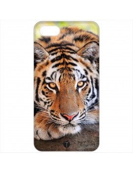 434 - Tigre