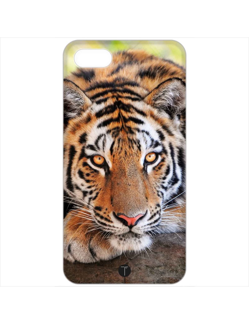 434 - Tigre