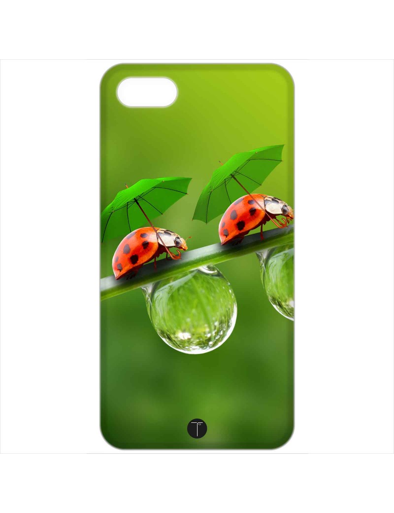 435 - Coccinelle